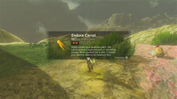 Endura Carrot Vegetables Materials The Legend of Zelda Breath of