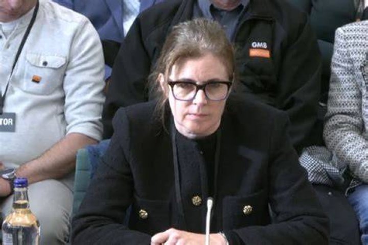 Former Wilko chair says Liz Truss's minibudget pushed company over the