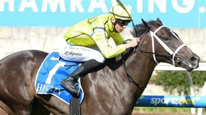 Horse racing tips Pakenham Synthetic best bets, odds preview with Brad