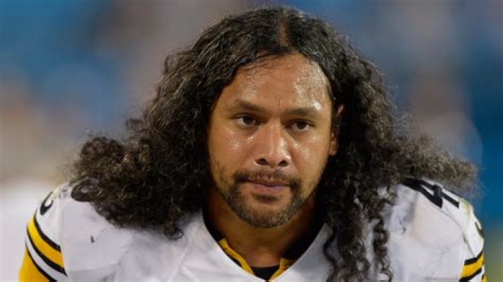 Troy Polamalu How Much Is The Retired Steelers Player Worth?